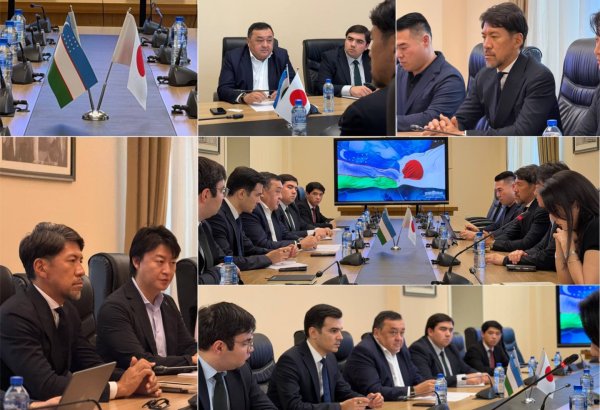Uzbekistan discusses privatization, investment with Japan's Proud Partners