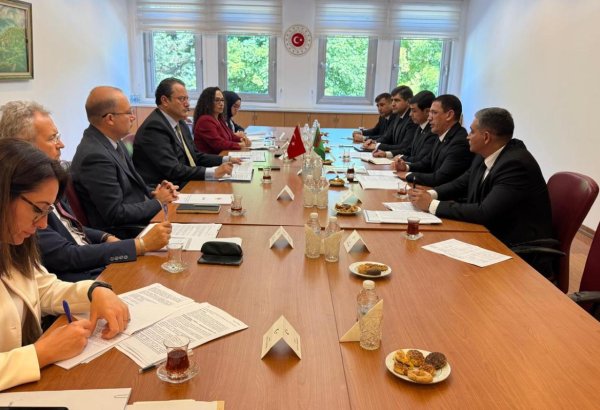 Turkmenistan, Türkiye discuss trade, energy ties in Ankara