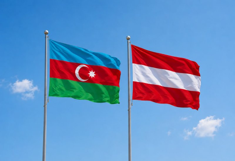 Azerbaijan appoints new ambassador to Austria