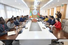 Azerbaijan's parliament speaker meets Speaker of Ethiopia’s House of Federation (PHOTO)