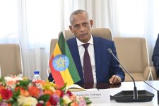 Azerbaijan's parliament speaker meets Speaker of Ethiopia’s House of Federation (PHOTO)