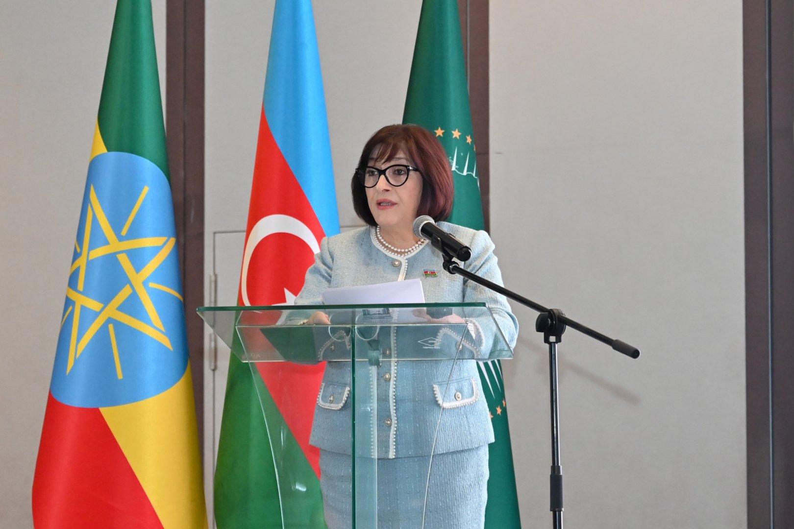 Azerbaijani Parliament's Speaker meets with group of ambassadors in Ethiopia (PHOTO)