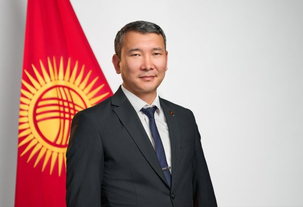 Kyrgyzstan names new first deputy energy minister