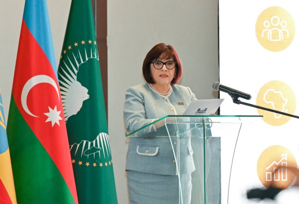Azerbaijani Parliament's Speaker meets with group of ambassadors in Ethiopia