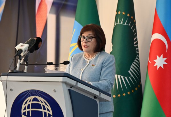 Azerbaijani Parliament's Speaker addresses Ethiopia's Foreign Affairs Institute