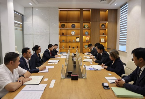 Japan's METI explores critical minerals cooperation with Uzbekistan