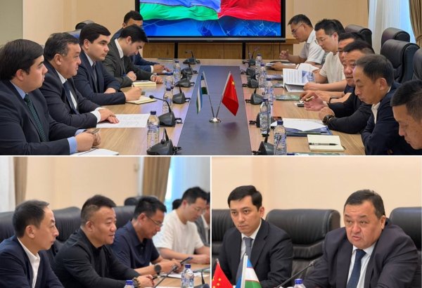 Uzbekistan, China discuss investment in construction, real estate