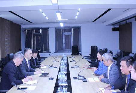 Tajikistan, Vietnam's ROX Group discuss expanding energy investment cooperation