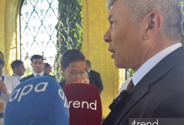 Treaty on allied relations brings Kyrgyzstan-Azerbaijan co-op to new level - ambassador