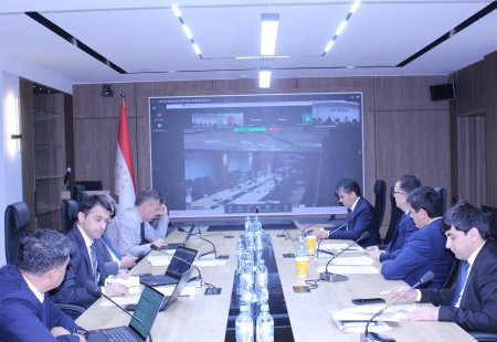 Tajikistan, China's Wangneng Environment discuss waste-to-energy cooperation