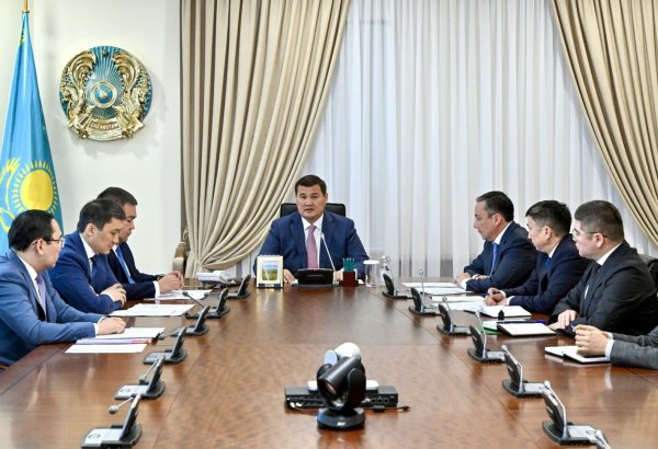 Kazakhstan reviews progress of ammonia-urea complex project in Mangystau