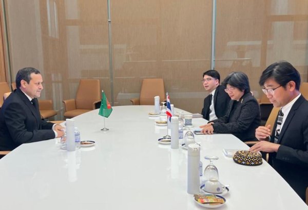 Turkmenistan, Thailand discuss expanding investments, logistics cooperation
