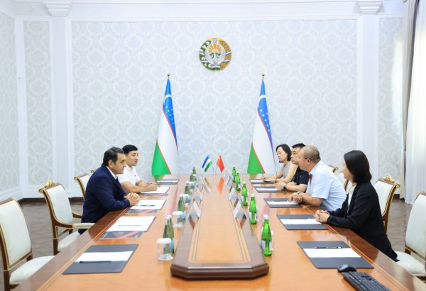 Chinese firm plans transformer plant in Uzbekistan's Fergana