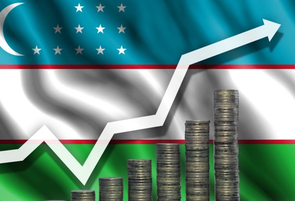 Uzbekistan's growth engine: Can economic momentum be sustained?