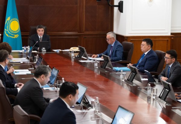Kazakhstan finances local businesses, increases domestic goods in retail