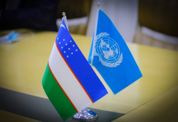 UN adopts Uzbekistan-backed resolution on role of parliaments