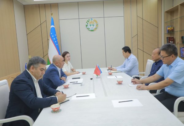 Uzbekistan's Tashkent, Chinese investor discuss insulation panel plant