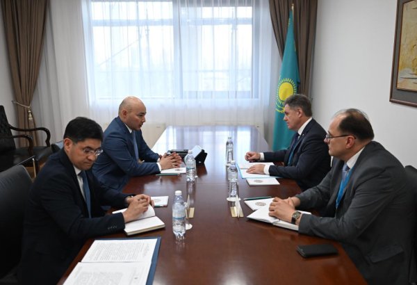 Kazakhstan and CIS discuss observer mission for upcoming Kurultai elections