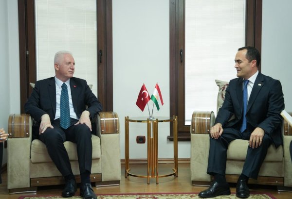 Tajikistan, Türkiye strengthen dialogue during Istanbul meeting