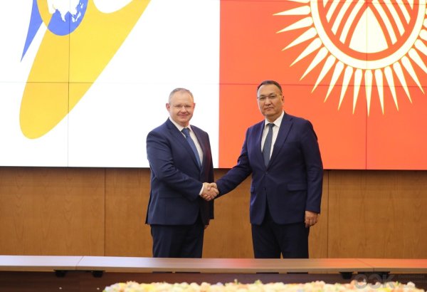 EAEU, Kyrgyzstan discuss digitalization of public procurement