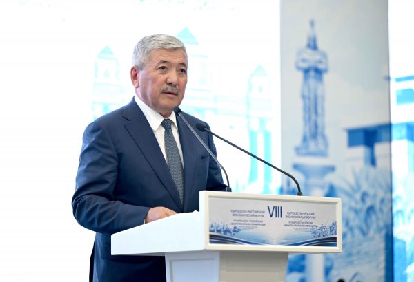Kyrgyzstan seeks deeper trade, investment ties with Russia - Kasymaliev