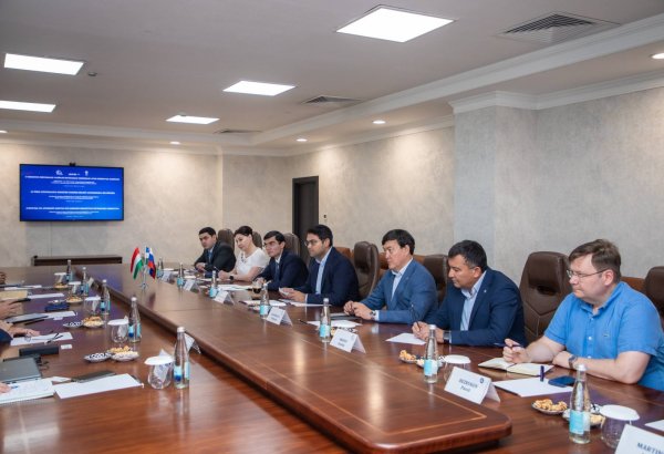Uzatom, Hungary's MVM EGI advance nuclear cooling technology talks