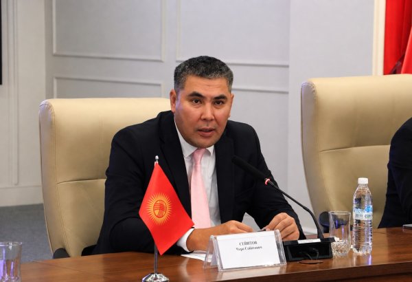 Kyrgyzstan counts on Azerbaijani investment in hydropower (Exclusive)