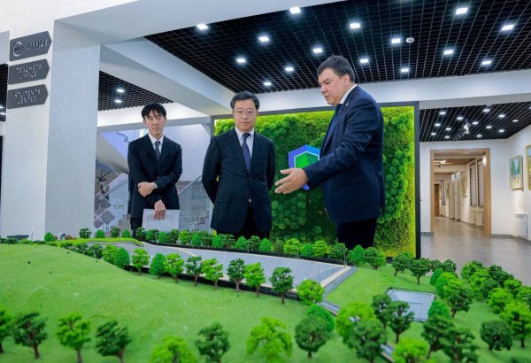 Uzbekistan, Japan discuss green tech and climate solutions partnership