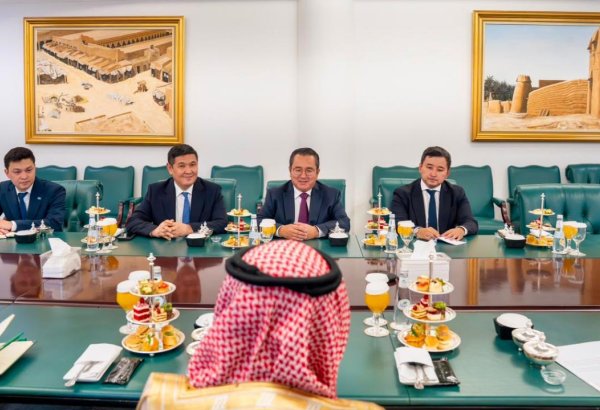 Kazakhstan, Saudi Arabia discuss strengthening co-op at global platforms