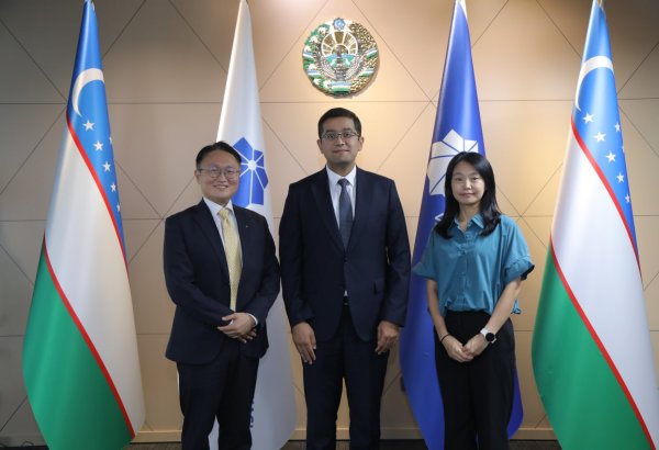 Uzbekistan, South Korea review progress on e-government data center