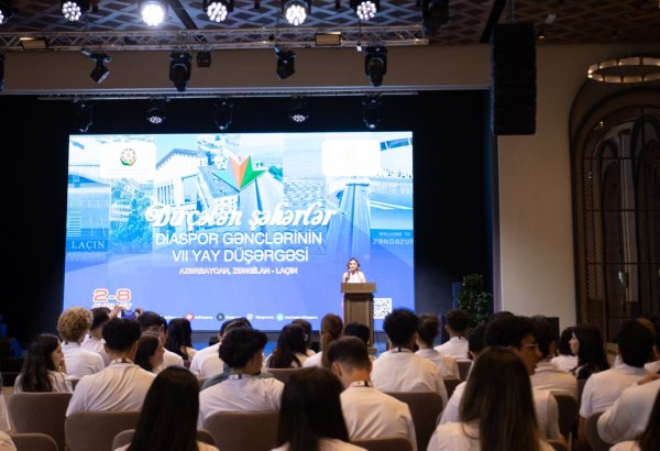 Azerbaijani diaspora youth introduced to Azerbaijan Houses around the world (PHOTO)