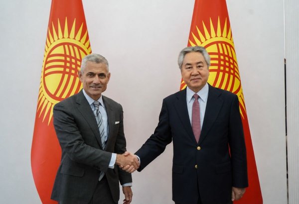 Kyrgyz foreign minister receives U.S. assistant secretary of state