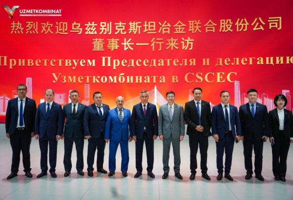 Uzmetkombinat, China's CSCES eye 150-MW power plant, battery storage system