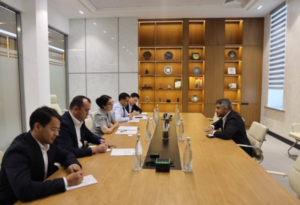 Uzbekistan, PwC Consulting discuss AI, critical minerals projects