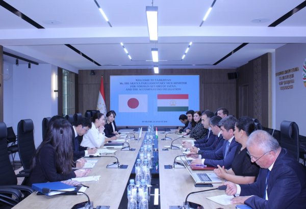 Tajikistan, Japan advance talks on major energy projects
