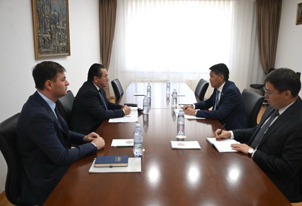 Kazakhstan and IOFS discuss developing cooperation in food security