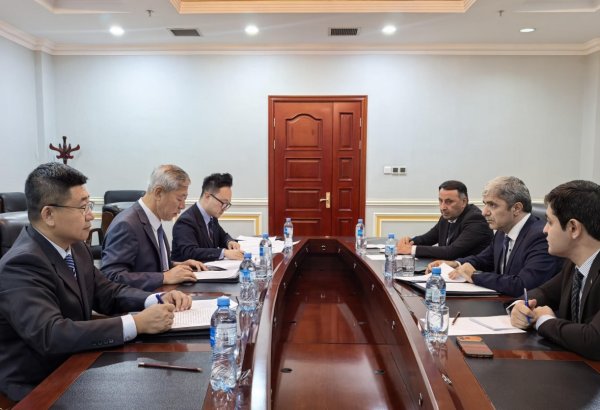Tajikistan, China step up SCO coordination ahead of key meetings