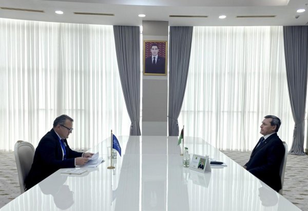 Turkmenistan, IOM identify key priorities for migration cooperation