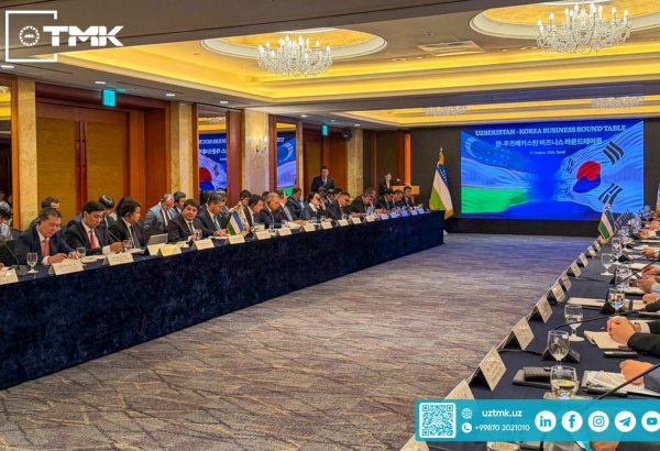 Uzbekistan, South Korea forge new critical minerals links