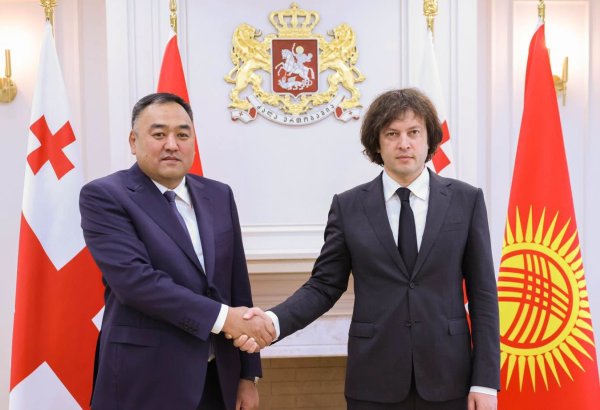 Georgia, Kyrgyzstan discuss security cooperation and bilateral ties