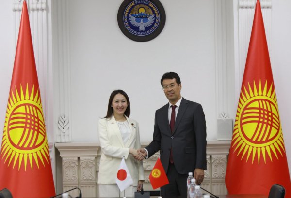 Kyrgyzstan, Japan discuss expanding political, economic cooperation