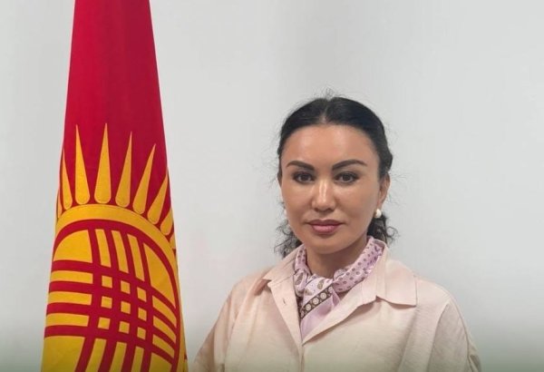 Kyrgyzstan appoints new deputy agriculture and water resources minister