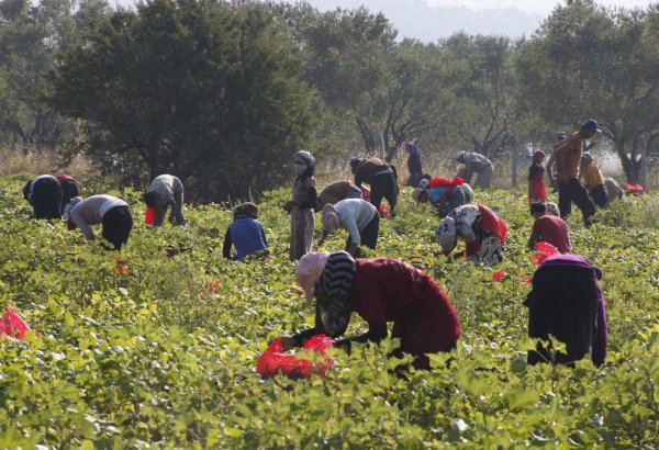 Kyrgyzstan opens UK seasonal work registration for 2027