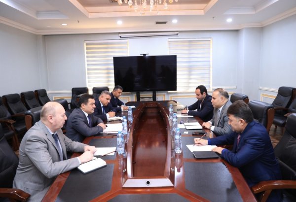 Tajikistan, Kuwait discuss prospects for further cooperation