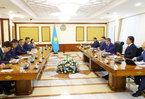 Kazakhstan eyes to expand waste-to-energy cooperation with Hunan Junxin