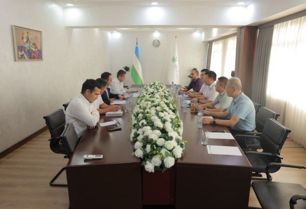 Uzbekistan, China explore joint projects in seed production