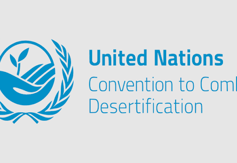 UNCCD: Uzbekistan's water security key to sustaining environmental gains