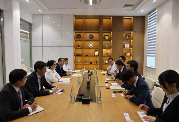 Uzbekistan woos Japan to develop promising mineral deposits