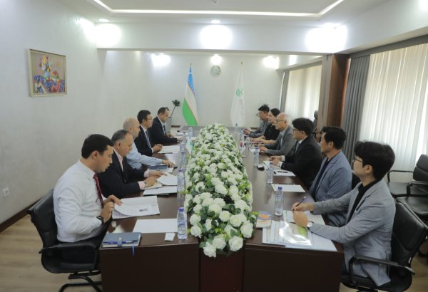 Uzbekistan seeks S. Korean know-how to expand mandarin production