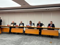 Azerbaijan, China expand experience-sharing in energy sector (PHOTO)